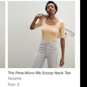 Everlane Pima micro-rib scoop neck tee in color “Sesame”
